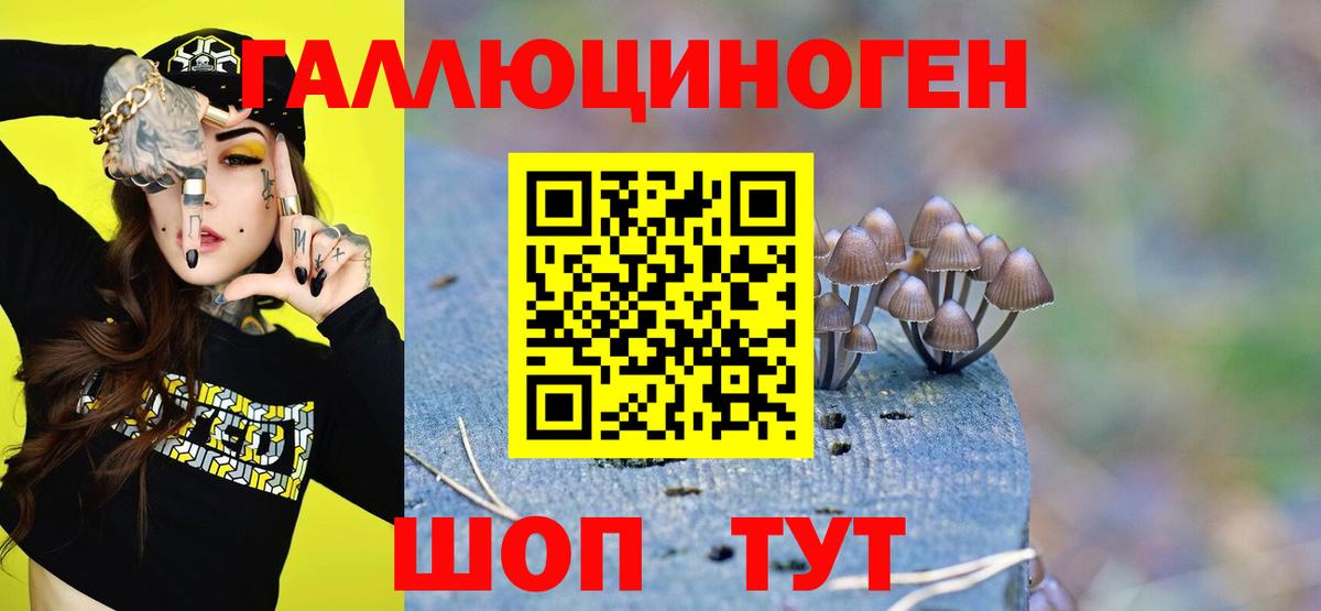 Галлюциногенные грибы мухоморы  Вход с VPN  Ртищево  Псилоцибиновые грибы прущие грибы 